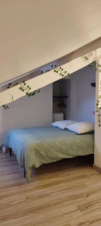 L'Appartement 7 - Centre Ville-Parking-Tv-Wifi タルブ エクステリア 写真